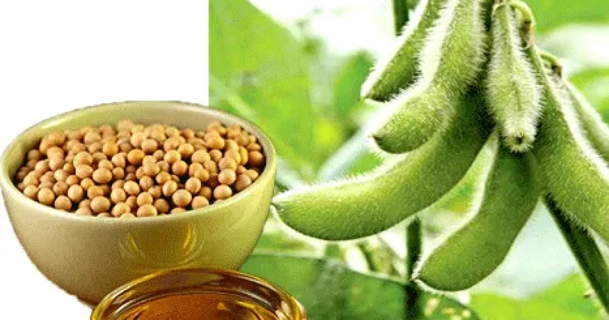Api Ghar Zarai Ajnas - آن لائن خریدیں | کسان گھر سٹور | Kissan Ghar Store