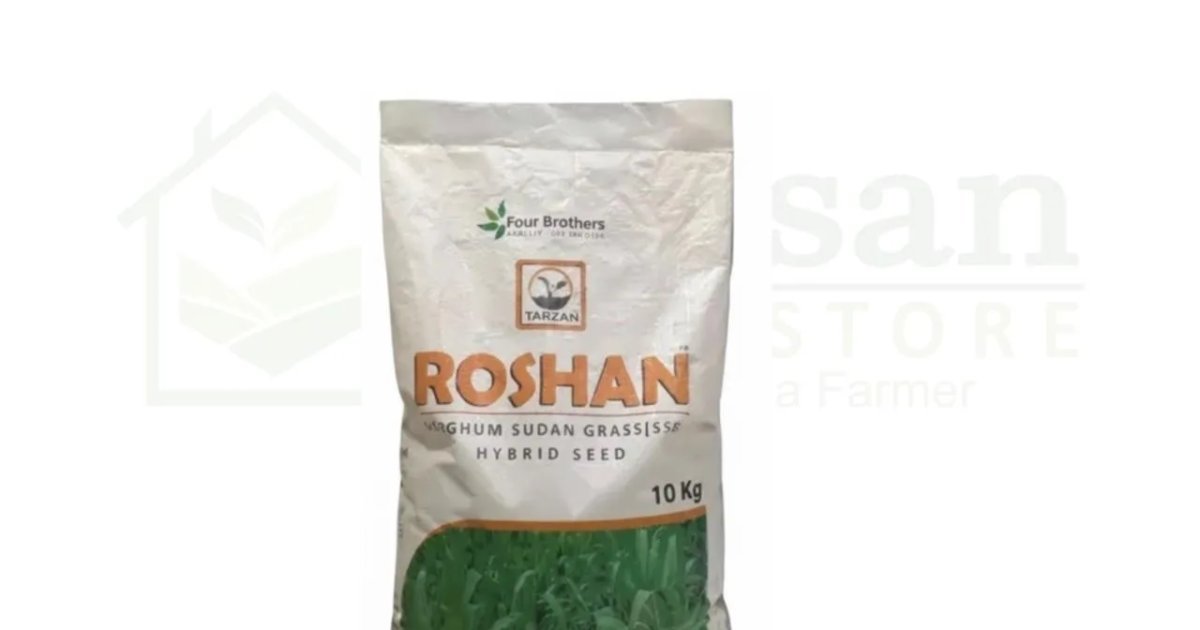 Pakistan Api Roshna Jawar Roshan 10kg Fourbrothers | Buy Online - Kissan Ghar Store ...