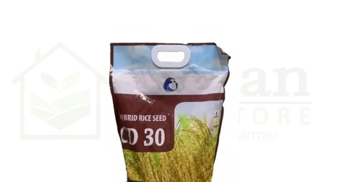 Hybrid Rice Seed Cd 30 5kg LCI Pakistan | Buy Online - Kissan Ghar ...