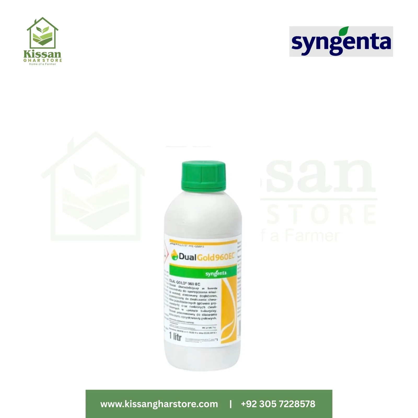 plant dracaena Dracaena Elegance 10